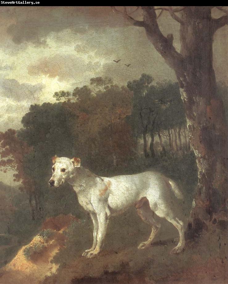 Thomas Gainsborough Bumper,a Bull Terrier